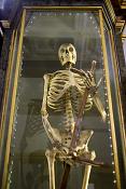 museo di anatomia umana bologna 8-2022 4730
